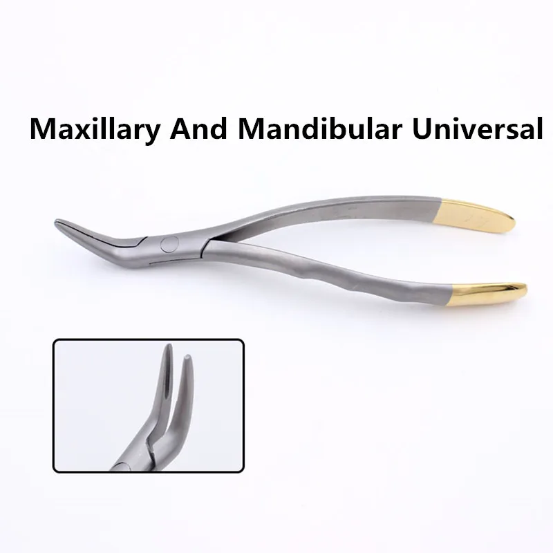 Dental Root Fragment Minimally Invasive Tooth Extraction Forcep Tooth Pliers Dental Instrument Curved Maxillary Mandibular Teeth