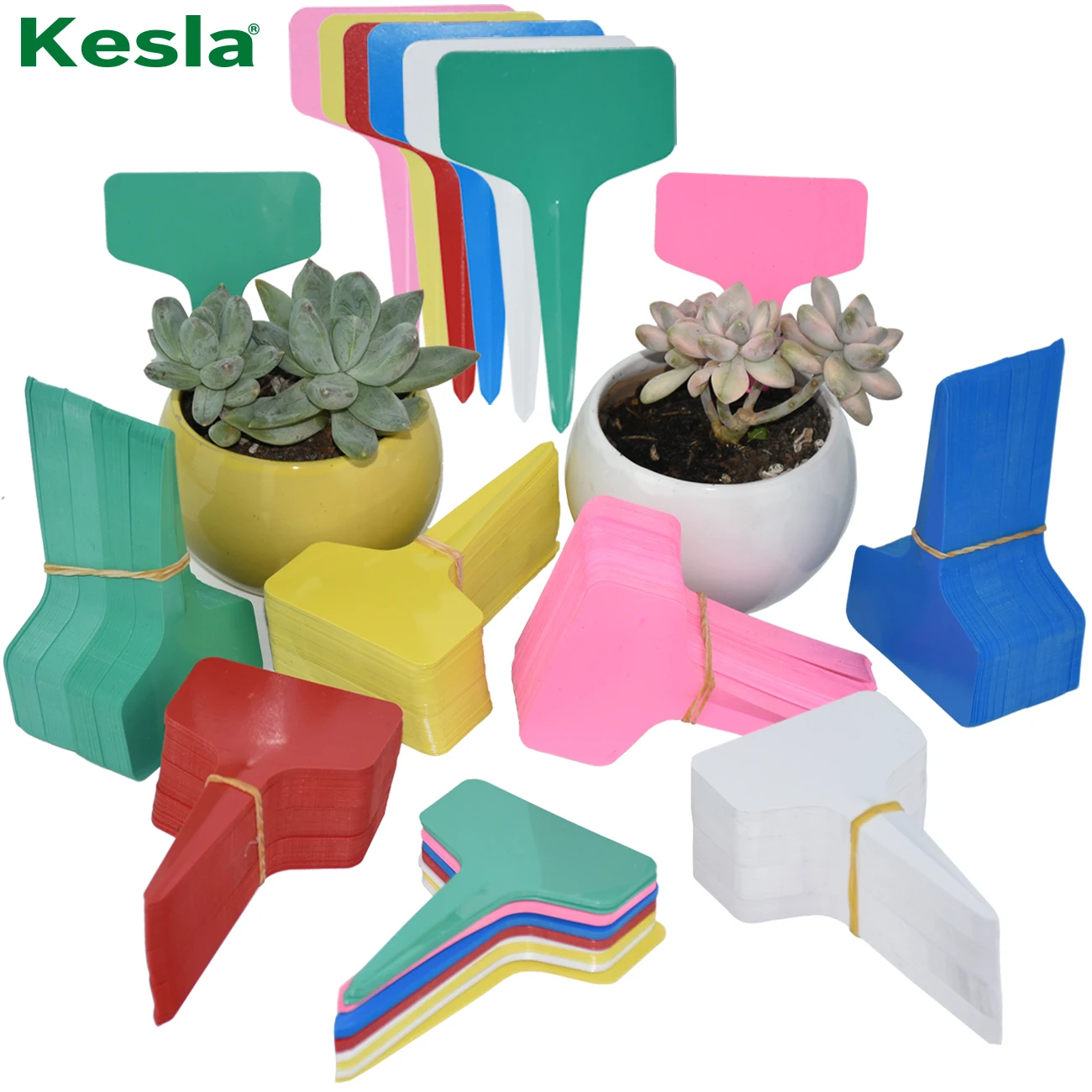 50PCS Plant Tags T Type Plant Markers 60*100MM Colorful Waterproof Label Nursery Garden for Plant Pot Vegetable Seedling Tray