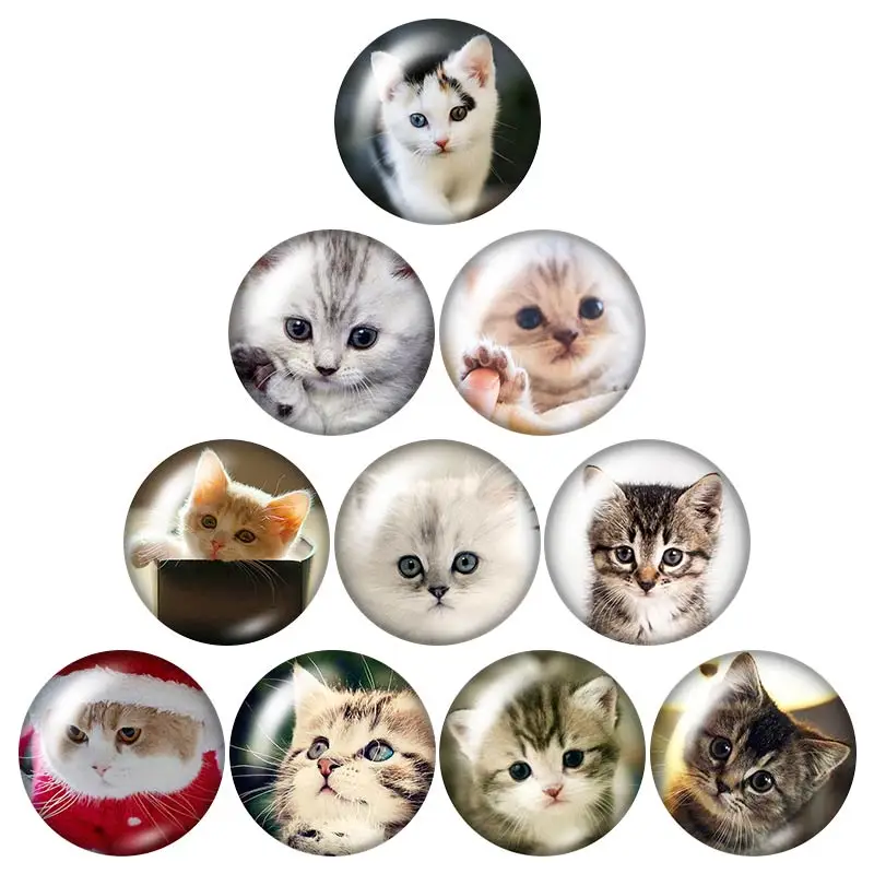 Lovely Cat love pet  18mm snap buttons 10pcs mixed round photo glass cabochon style for snap button jewelry