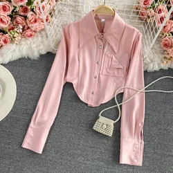 2024 Autumn Winter European American Sexy Retro Lapel Embroidered Pink Shirt Long Sleeve Short Top Casual Short Blouse Women