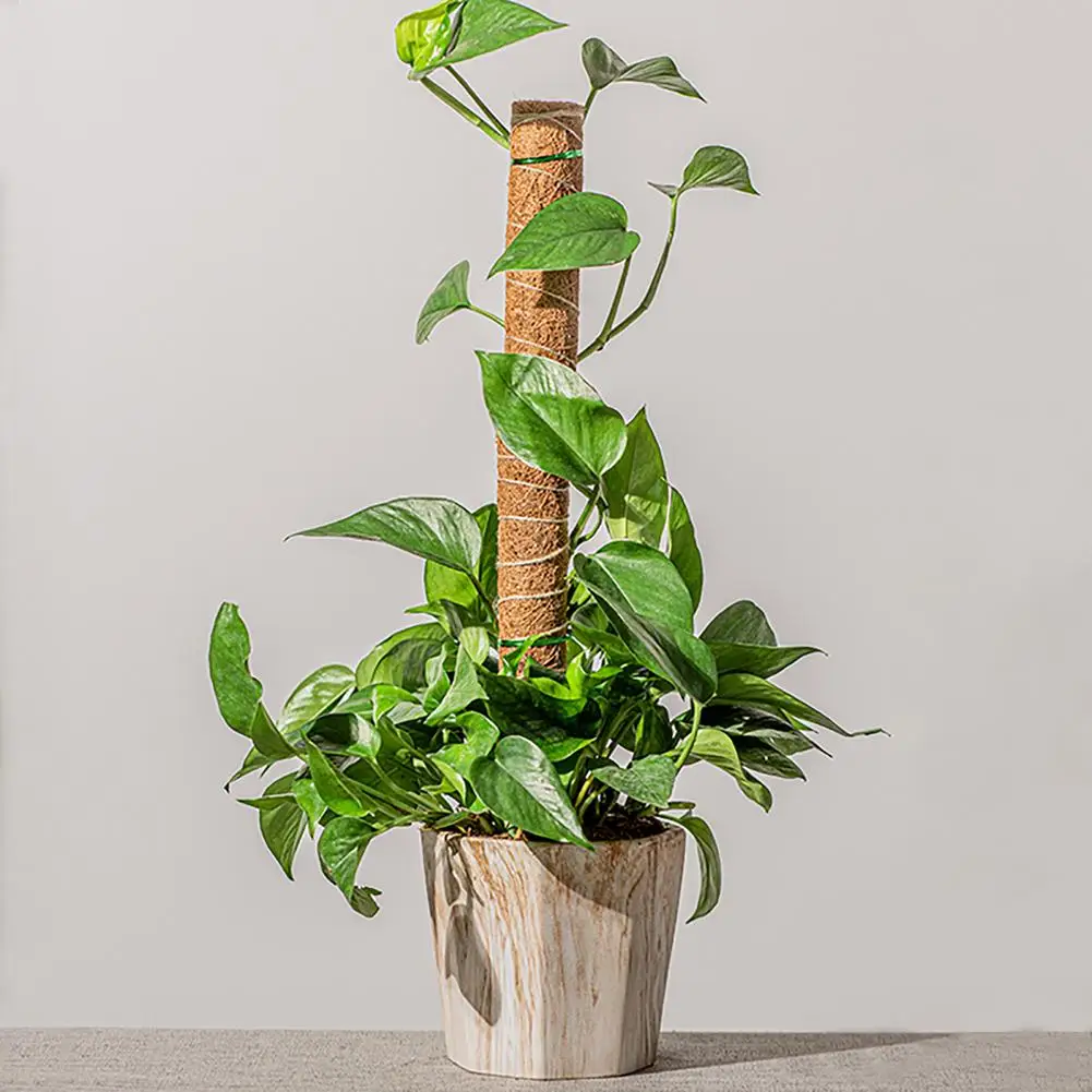 Garden Coir Totem Coconut Palm Sticks Vine Support Plant Moss Pole Moss Stick For Climbing Plants Support Extension