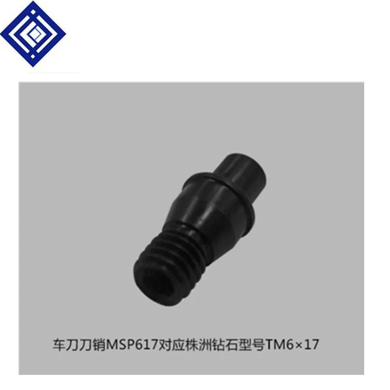 MSP617(TM6*17)/MSP821(TM8*21)/MSP1021(TM10*21) TM12x29 TM5x13 TM6x19 TM8x21 TM6x13 Chrome-Molybdenum Alloy Steel Clamping Stud