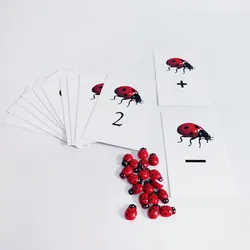 Montessori Math Material Montessori Ladybug Number Math Toys Flash Cards Educational Learning Toys for Children MJ1044H