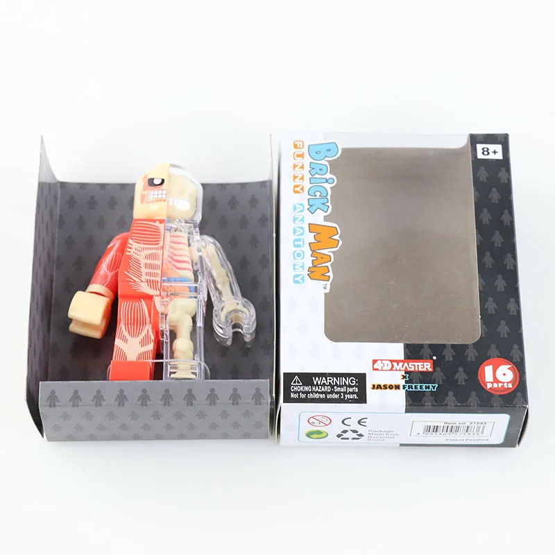 Trendy Brickman 4D Master Artist Jason Freeny Puzzle Assembly Perspective Skeleton Anatomy