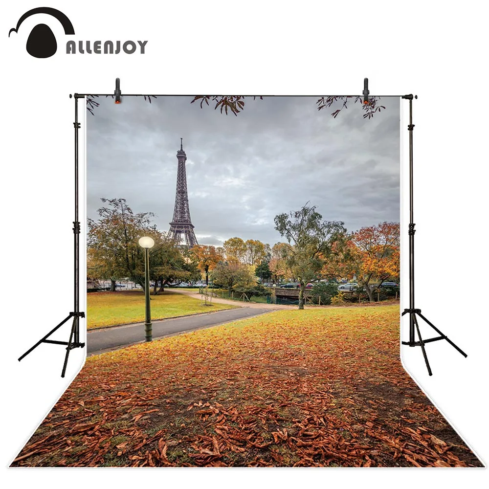 Allenjoy autumn background for photo studio Eiffel Tower Street lamp Withered Fallen leaves park photoshoot backdrop photophone