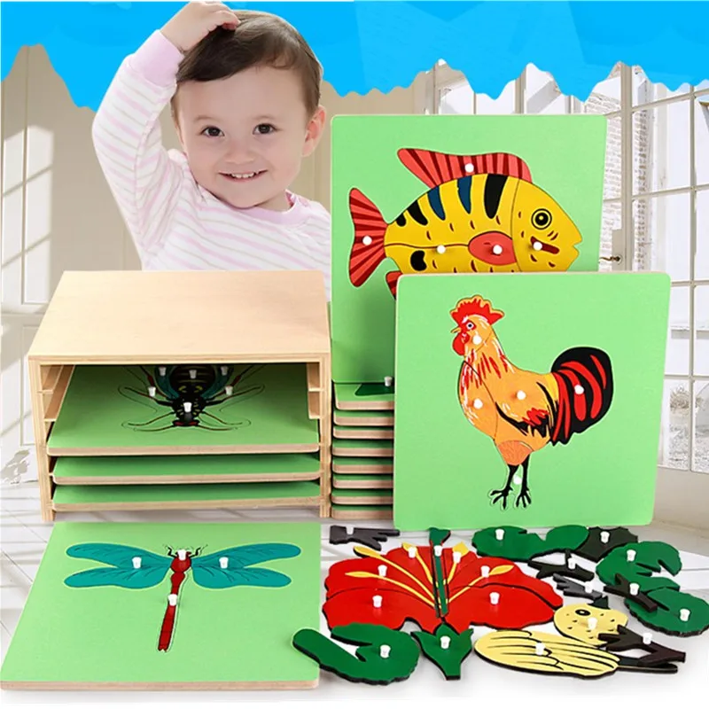 Montessori Teaching Aids Children's Biology Cabinet Kindergarten Table Game Wooden Toys Homeschool Educational Toddler Learning