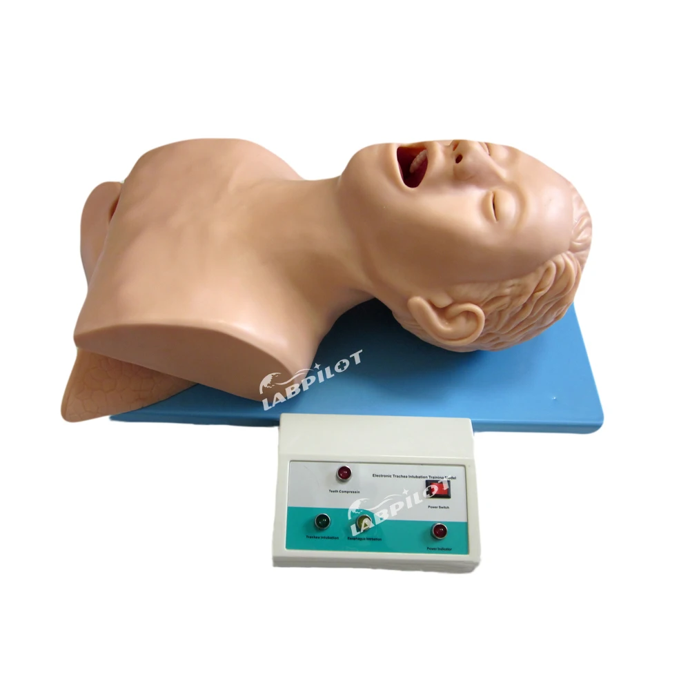 

Electronic Tracheal Intubation Simulator Airway Head Model, Adult Oral and Nasal Tubing Trainer