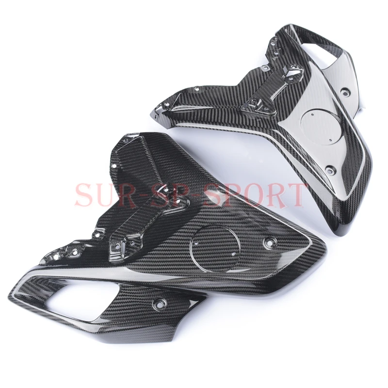 Motorcycle Side Panel Cover Farings For BMW R1250GS 2020-2023 Full Carbon Fiber 100%