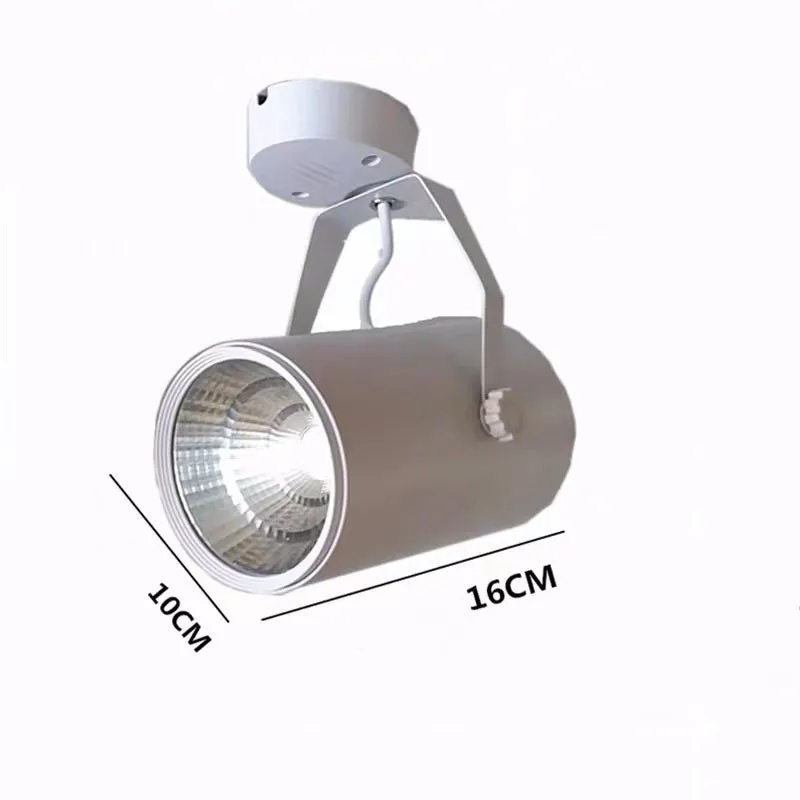 Floor Type Light Ceiling Type Three Color Temperature And No Pole Dimming Remote Control Led Complementary Light Spotlights 20w