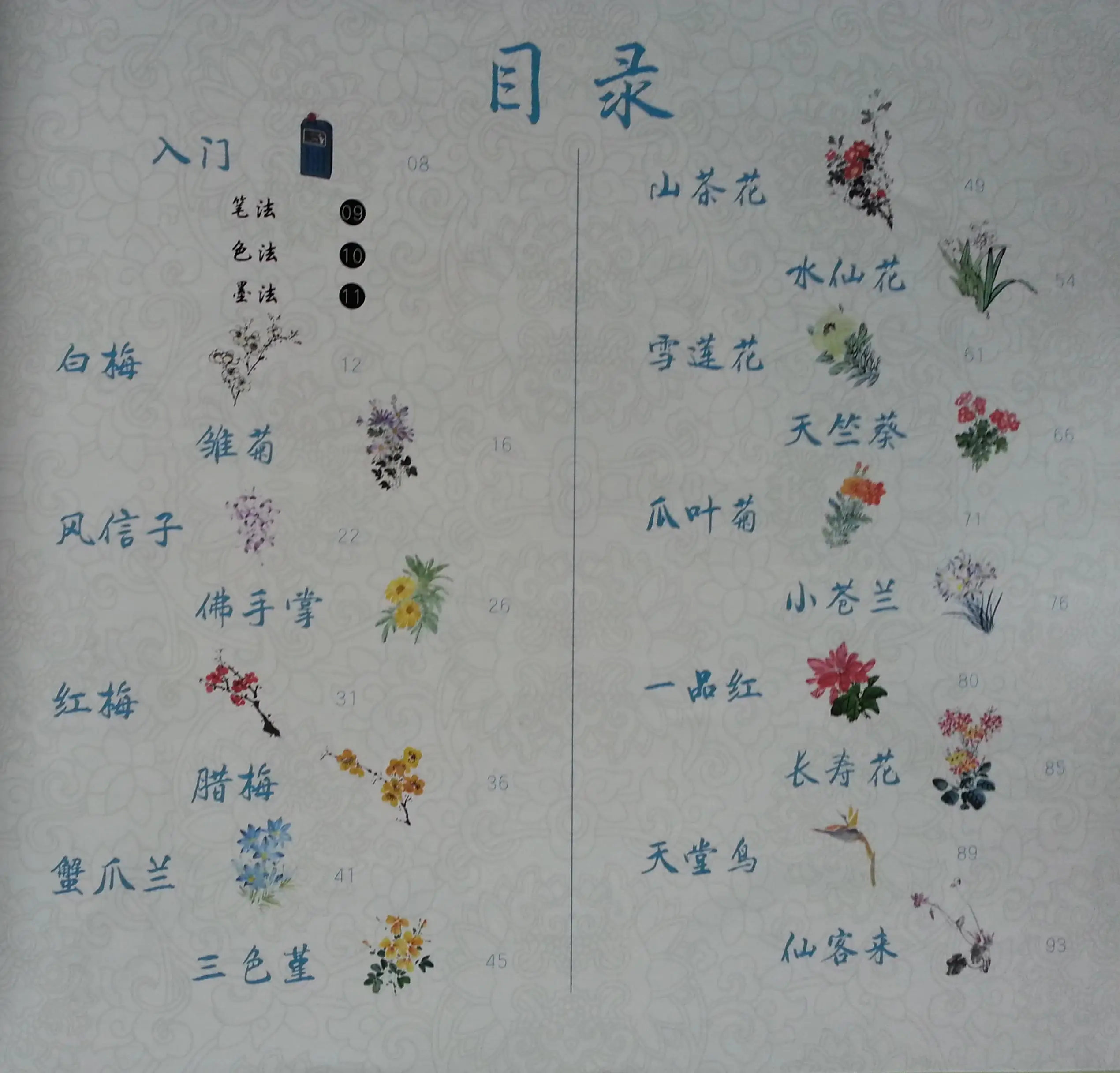 Chinese Culture Painting Learning Book Freehand Artistry Paint Winter Flowers