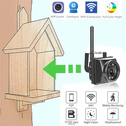 Mini Câmera de Detecção de Movimento IR, Visão Noturna, Wifi, CCTV ao ar livre, Onvif P2p, Wireless In Bird'S Nest, Cage House, Camhi App, 4K
