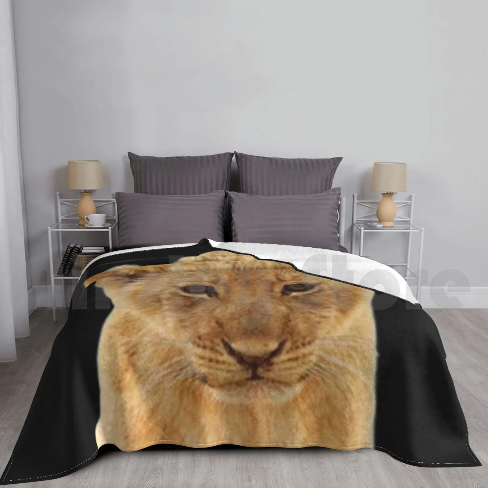 Lion Cub Blanket For Sofa Bed Travel Lion Cub Cute Lion Baby Lion Lioness Lion King Adorable Nature Wild Baby