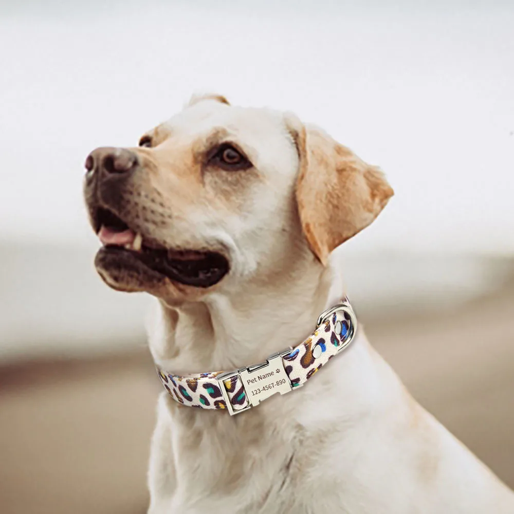 Kalung Anjing Unik Nama Ukiran Gratis Kerah Papan Nama Kustom untuk Aksesori Anjing Kecil Menengah Besar Produk Hewan Peliharaan Pitbull