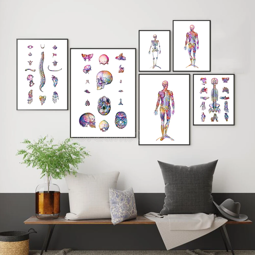 Human Bones Structure Poster Wall Picture Poster Muscle Anatomy System Vintage Poster Canvas Print Body Education Painting Decor