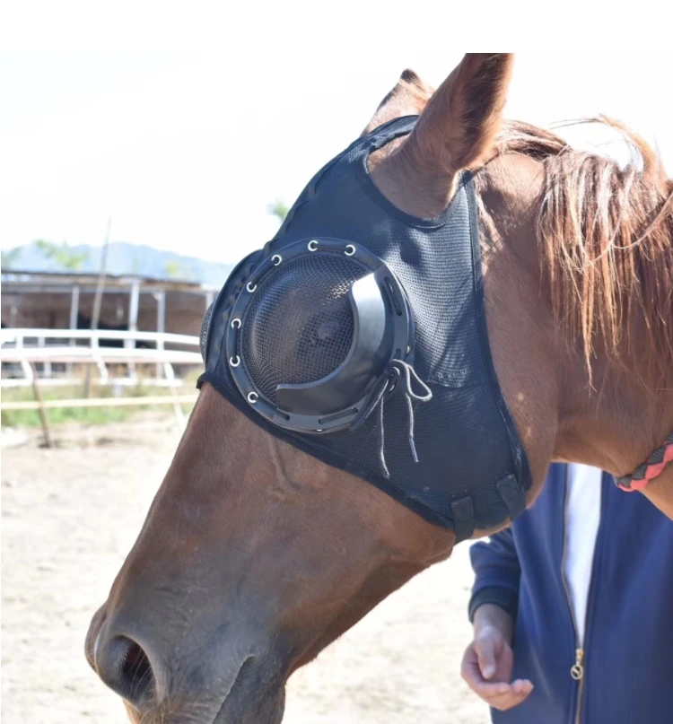 Suministros de arnés Cubierta de arnés, Máscara de ojos a prueba de viento, Gafas de carrera de velocidad, Máscara de malla, A prueba de tracoma, Cubierta de cabeza de caballo, Alta calidad