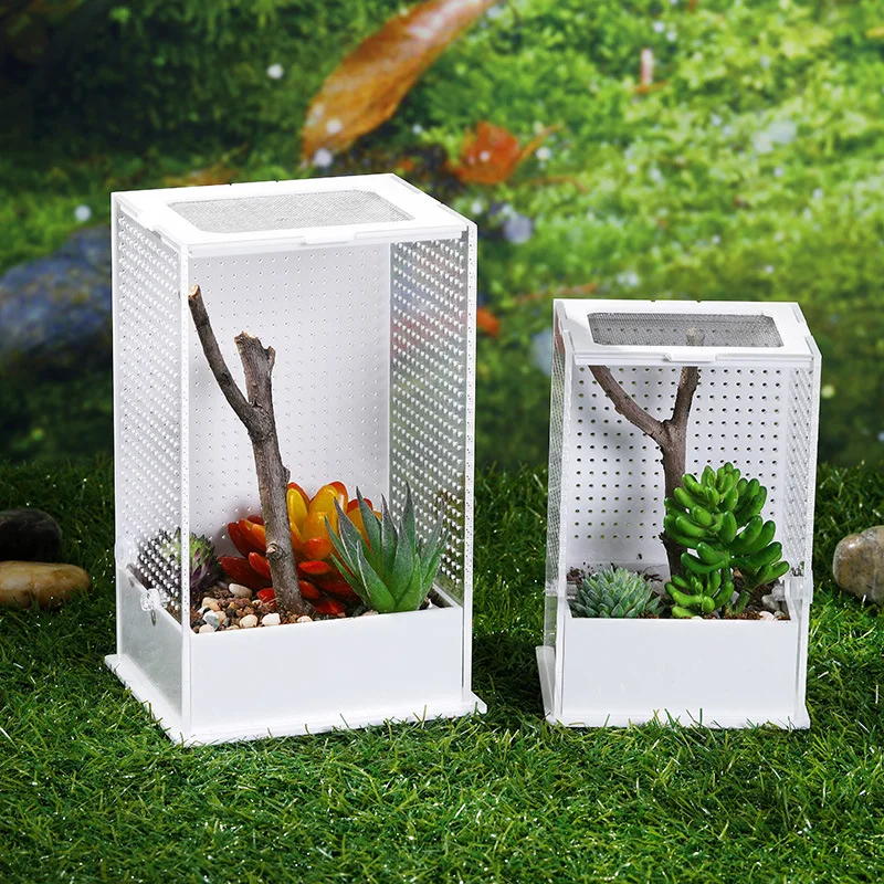 Transparent Acrylic Reptile Feeding Box Insect Box Mantis Breeding Box Insect Reptile Cage Terrarium Feeding Box