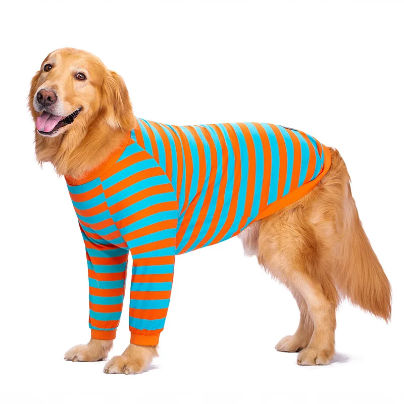 Cute Big Dog Clothes, Golden Retriever, Labrador, Medium and Large Dog Elbow Pads, Two-Legged Clothes, Autumn