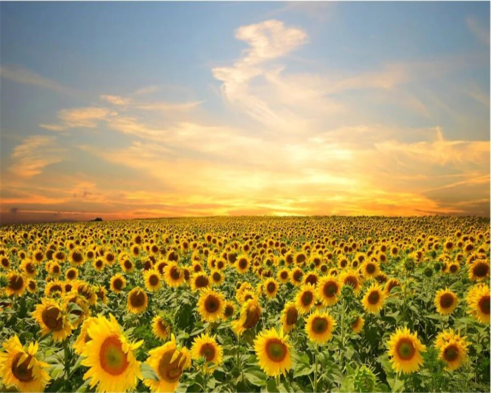 wellyu Customized large murals fashion home improvement 3D sunflower field background wall wallpaper papel de parede