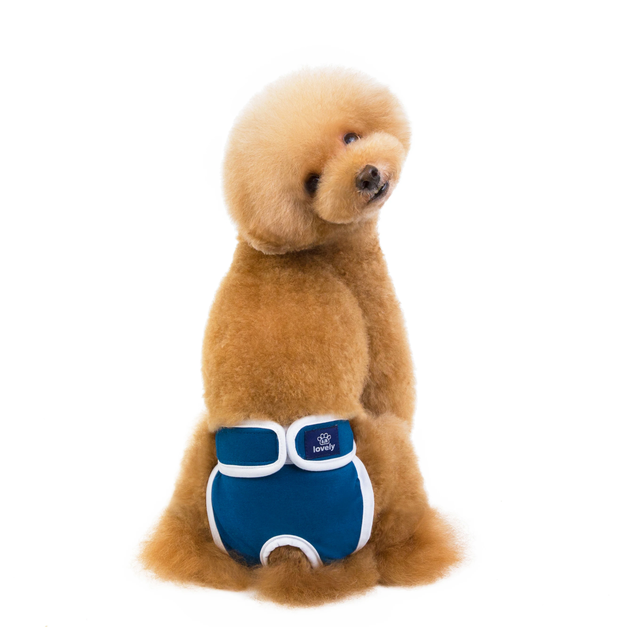 Pet Physiological Pants Dog Menstrual Pants Dora Anti-harassment estrus Briefs Small medium dog Cotton Health pants Teddy Diaper