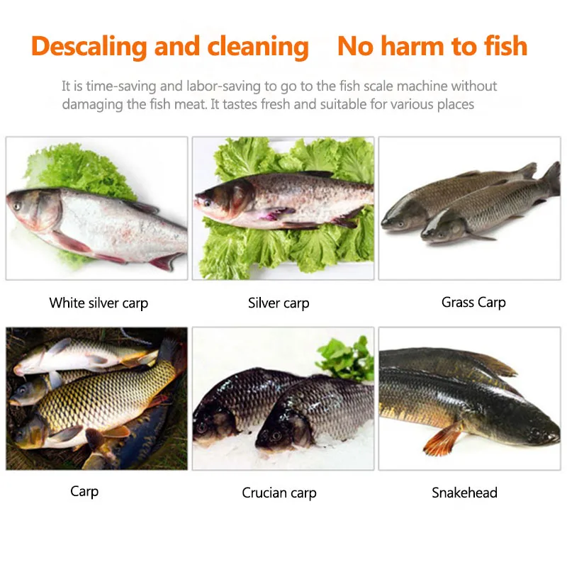 Hoàn Toàn Tự Động Cá Quy Mô Máy XZ-550 Thép Không Gỉ Cá Quy Mô Máy Căng Tin Nhà Hàng Cá Quy Mô Máy Thiết Bị