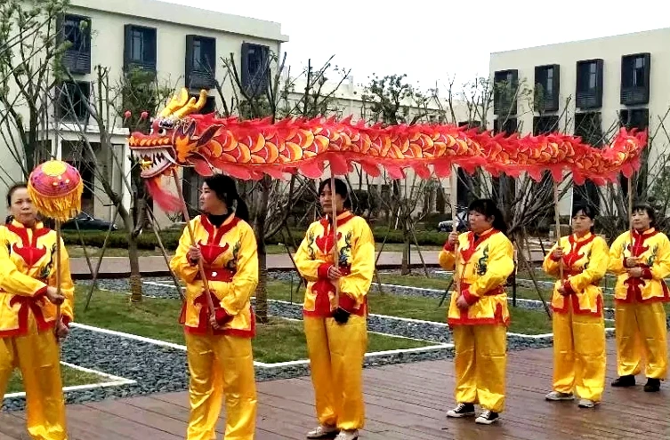 Kid 7,9 m taglia 6 Costume di danza del drago di seta 8 giocatori Bambini Studente Festa di compleanno di Halloween Parata di Natale Palcoscenico popolare Cina