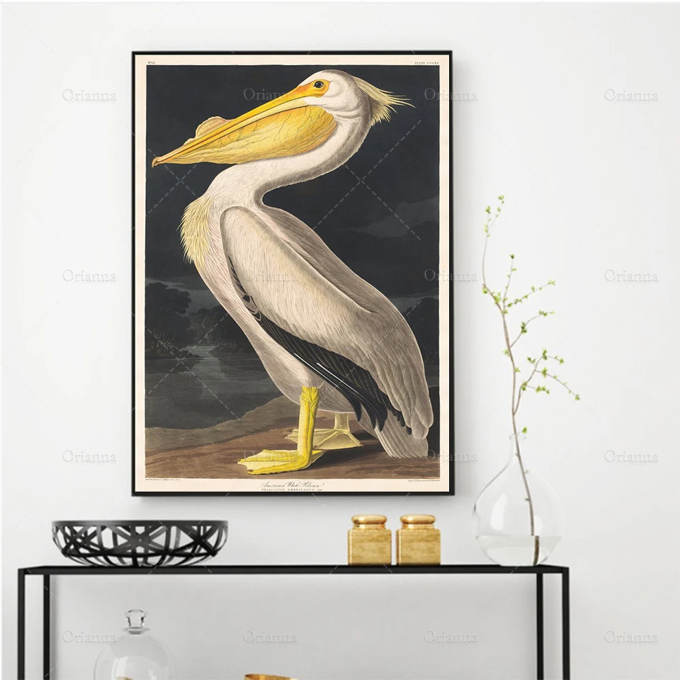 

John James Audubon Birds, American White Pelican Poster Print, Bird Art, Vintage Bird Print, Gift Idea, Wall art poster print