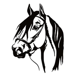 40677# Die-Cut Vinyl Decal Horse Head Car Sticker Waterproof Auto Decors on Bumper Rear Window