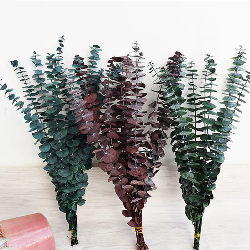 

Natural Eucalyptus Leaves Branches Stems Dried Flower Real Palnt Ornament For Diy Nordic Home Wall Party Decoration Supplies