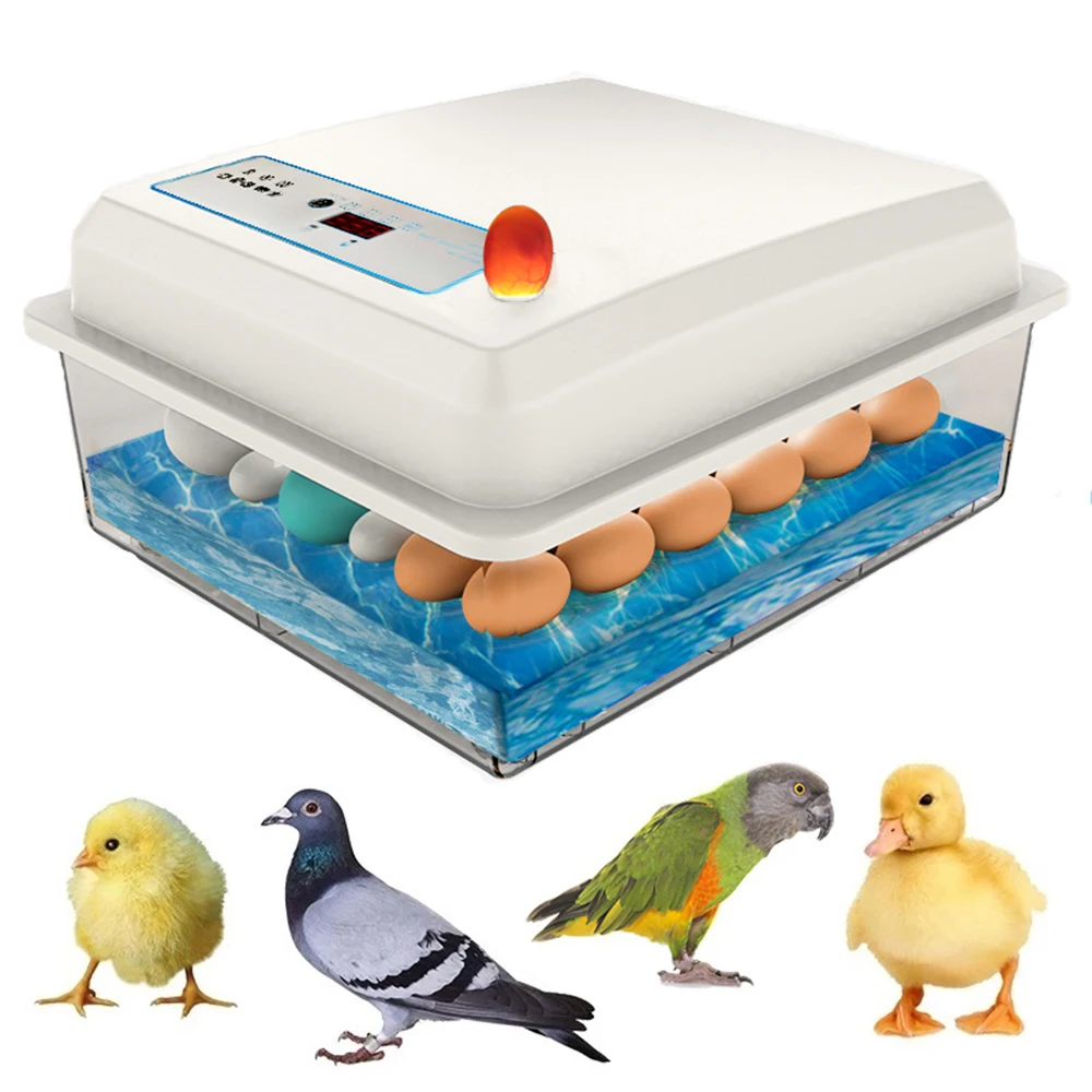 20 Eggs Incubator Brooder Bird Quail Chick Hatchery Automatic Egg Incubator Poultry Hatcher Turner Automatic Temperature Control