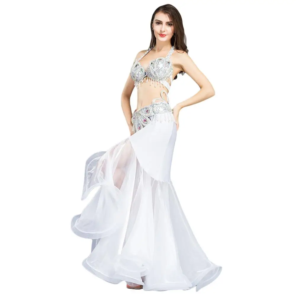 Professional Belly dance Costume For Women Belly dancing Dress set Bellydance Outfits Dancing Bra Belt Mermaid Skirt Stage Wear