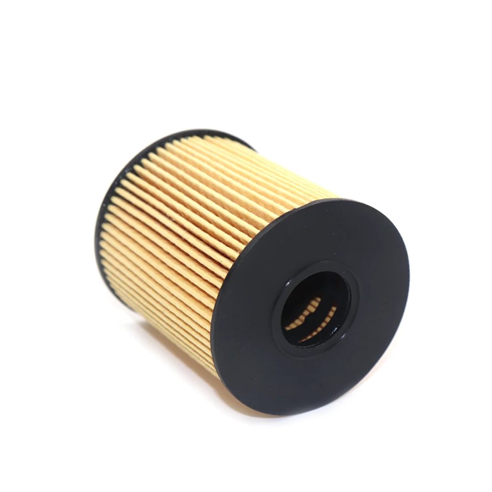 Oil Filter 1109X3 For Peugeot 207 1.6 2006-2013 206 3008 307 308 407 Citroen C4 2004-2011 C3 C5 DS3 DS4 DS5 Ford Transit 1109Z1