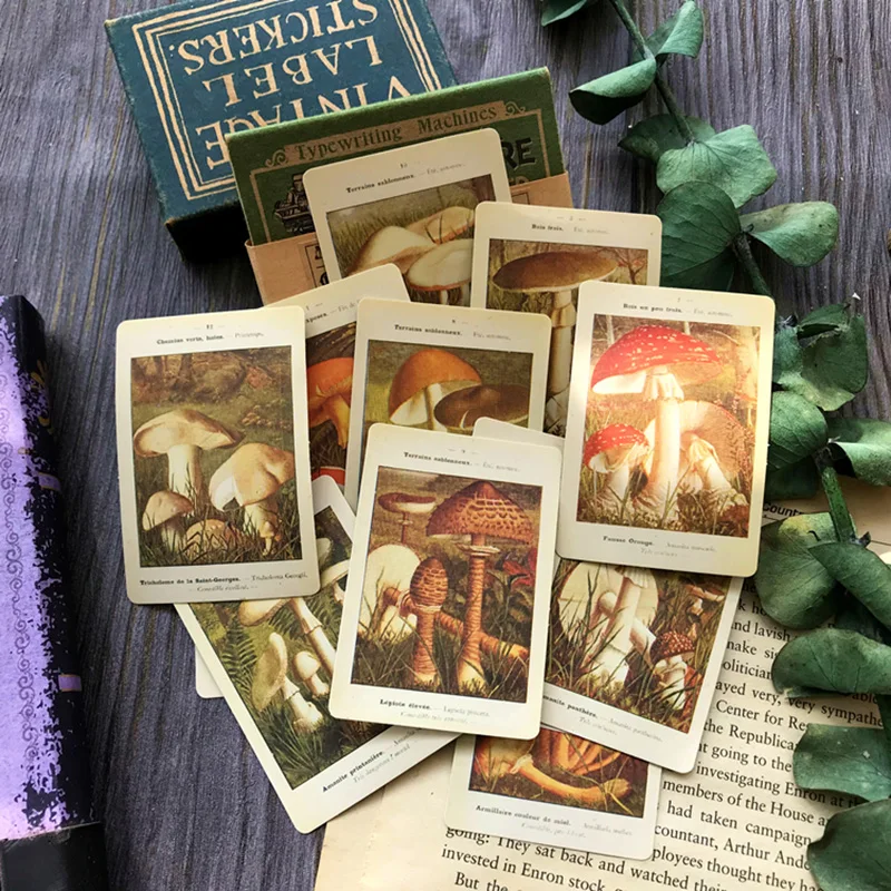 Vintage Mushroom Il… - image