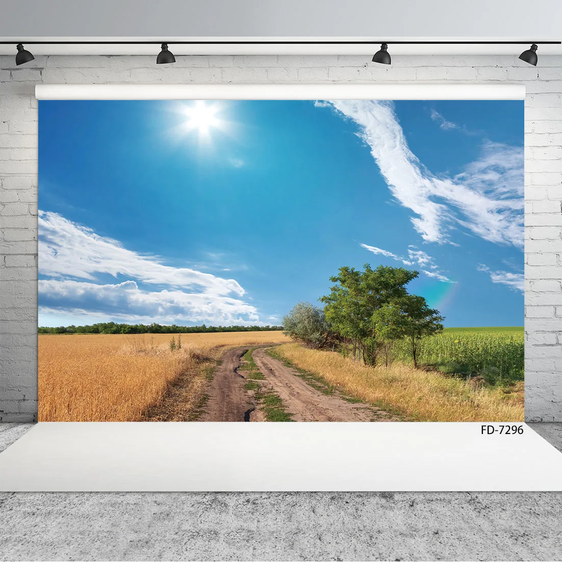 

Photographic Background Countryside Field Path View Vinyl Photophone Backdrops for Children Baby Portrait Photocall Photo Studio