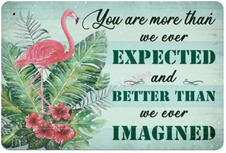 

You are More Than We Ever Expected Retro Metal Tin Sign Plaque Poster Wall Decor Art Shabby Chic Gift Suitable