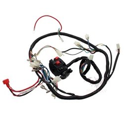 QUAD WIRING HARNESS & Multi-functional ATV Switch CB CG 150cc 200cc 250cc Chinese Electric Start Loncin Zongshen Ducar Lifan