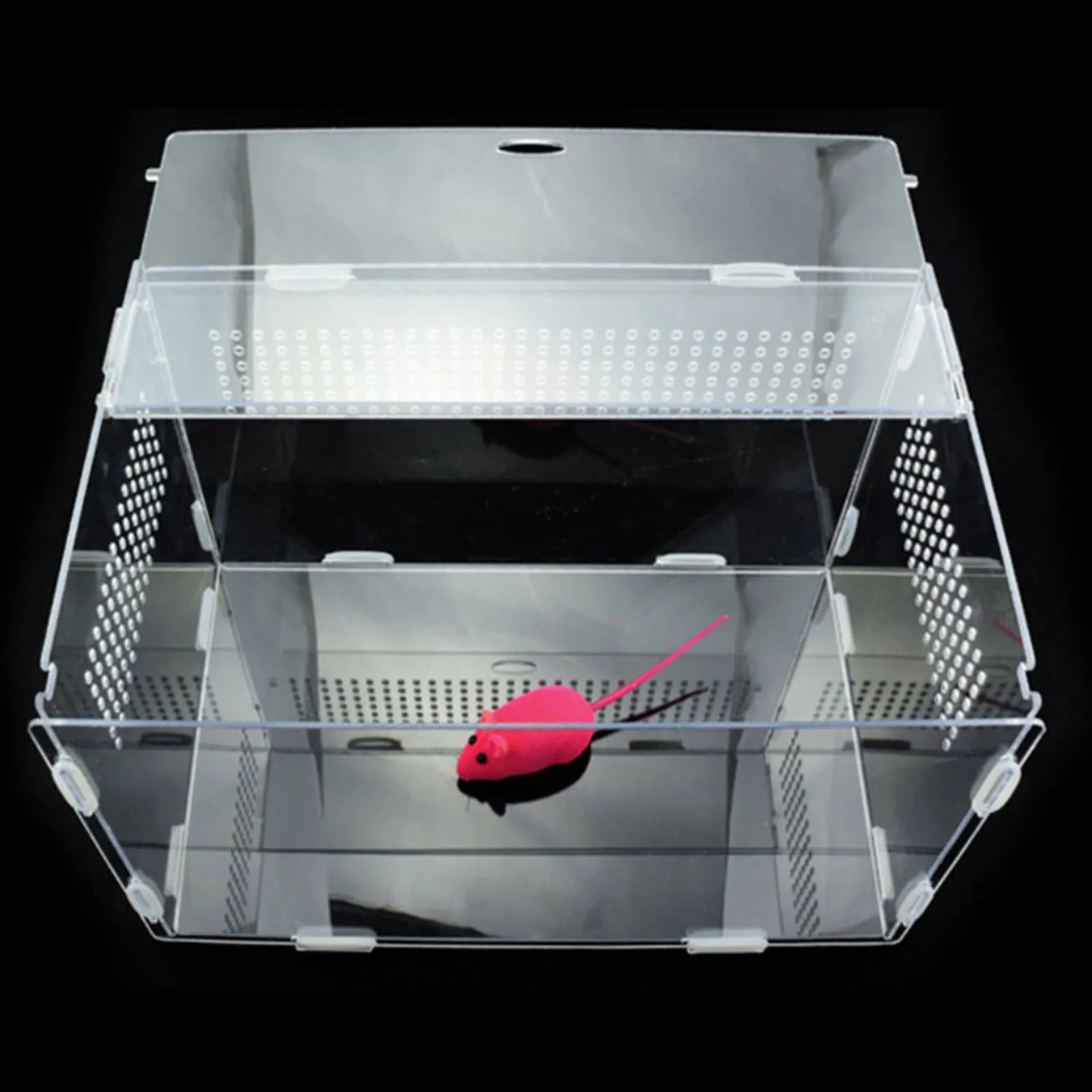 Reptile Breeding Box Acrylic Terrarium Feeding Box Transparent For Animals Reptile Pets Insect Spider Lizard Frog Cricket Turtle