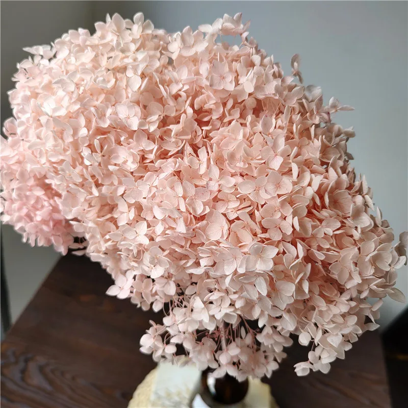 18-20cm Head,Natural Preserved Anna Hydrangea With Stem,Eternal Display Flower Bunch For Wedding Home Decoration Accessories