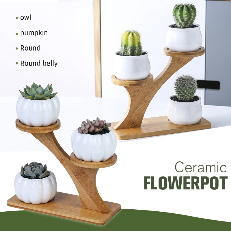 Creative Succulent Plant Shelves Flower Display Stand Bamboo Frame Ceramic Flowerpot Plant Tray