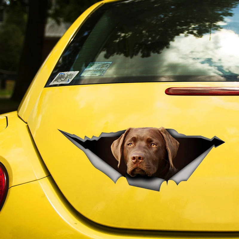 

Сhocolate Labrador 17CM\20CM Self-adhesive Decal Car Sticker Waterproof Auto Decors on Bumper Rear Window Laptop # 60413