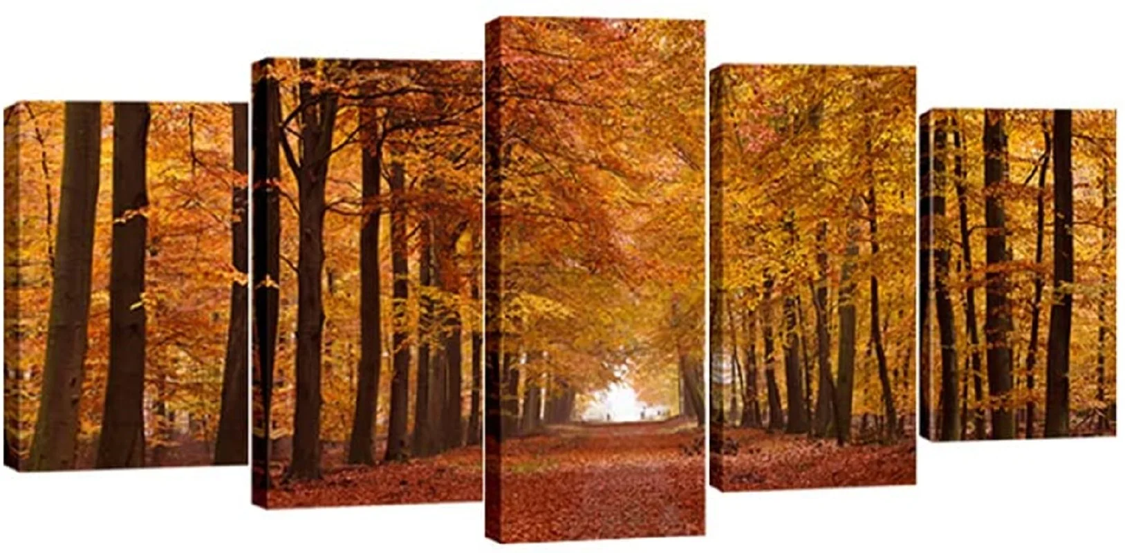 

5 шт., Картина на холсте «Осенний лес»