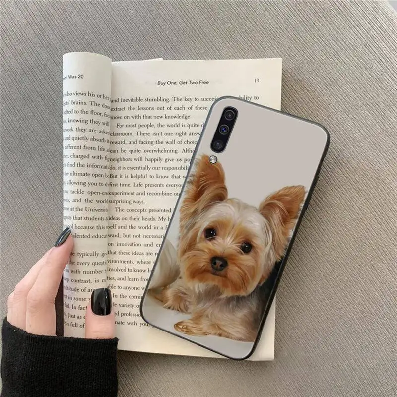 Westie funda de teléfono para Samsung, carcasa con diseño de perro Terrier, cachorro, Highland, A71, A41, A21, A31, A50, A70, A11, A12, A32, M31, A02, A51, A52, A72