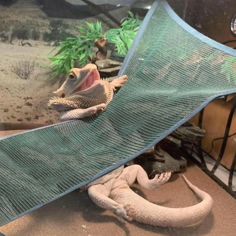 Reptile Hammock Lounger Swing Accessories Set For Large Small Bearded Dragons Anole Geckos Lizards Or Snakes