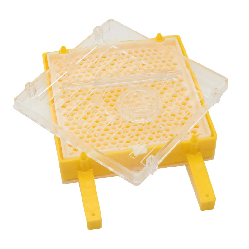 1SET Apiculture Beekeeping Jenter Queen Rearing Incubation System Box Cage Holder Plastic Cell Cup Bees Tool Beekeeping Supplies