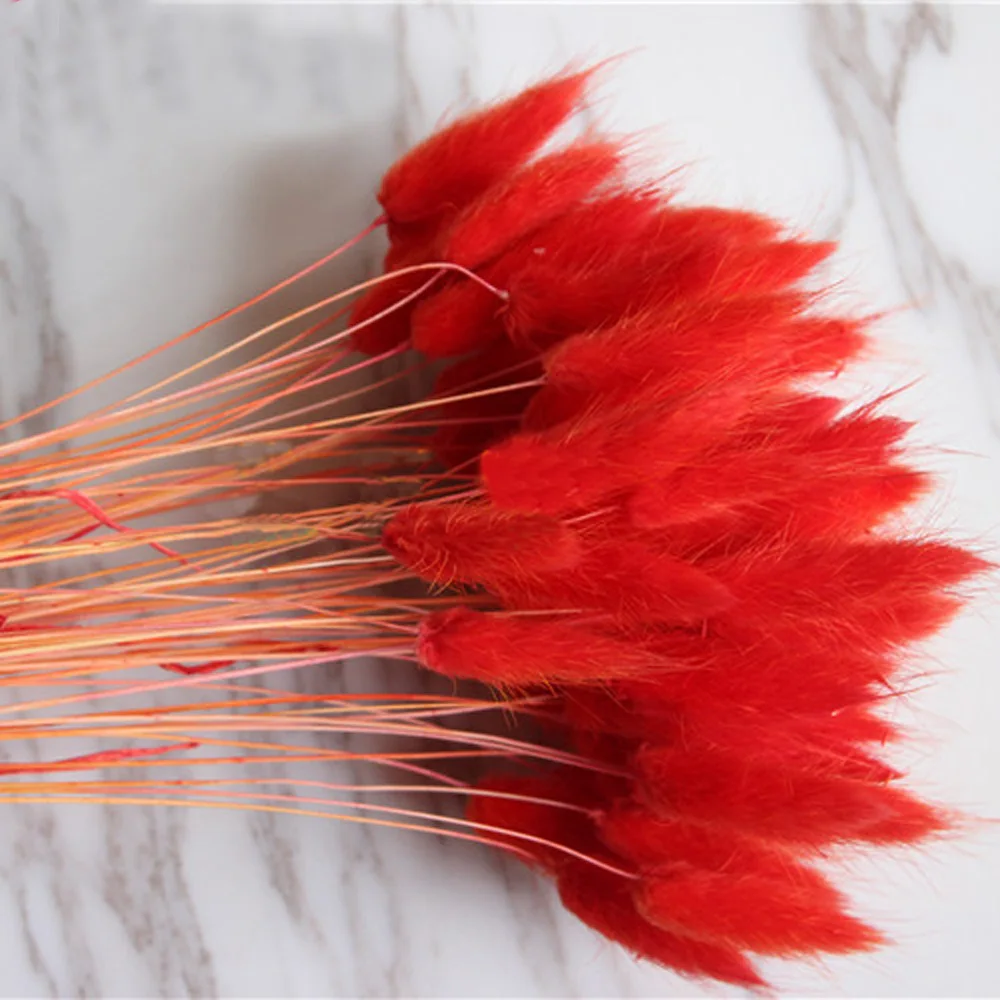 

50pcs dried natural flower bouquets red color Lagurus ovatus bouquets&Uraria picta&rabbit tail grass bouquets bunches