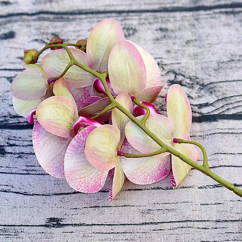 1 Bundle(6 Heads) Plastic Butterfly Orchid Vases for Home Decor Wedding Decorative Plants Christmas Gifts Box Artificial Flowers