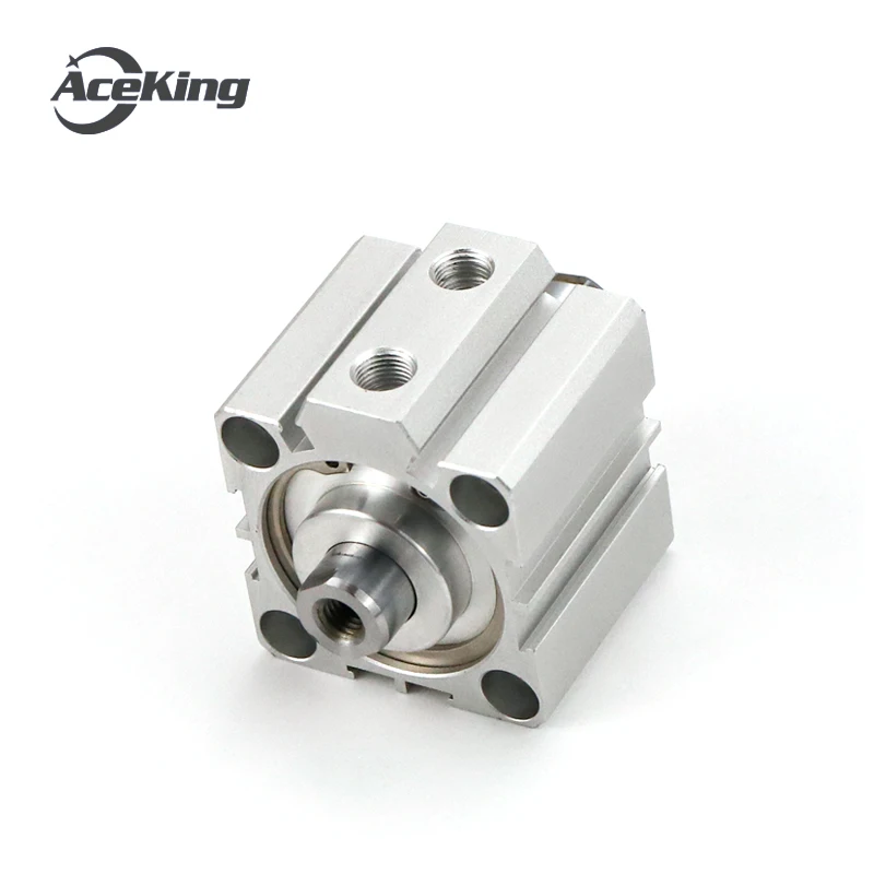 SDAD12X10X15X20X25 '30' 35 '40' 45X50 '75' 100BS المزدوج رمح رقيقة اسطوانة SDAD SDAD12-10 SDAD12-15 SDAD12-20 SDAD12-25 SDAD12-30