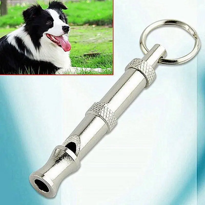 Stainless Steel Ultrasonic Flute for Pet Dog and Cat Training, Ultrasound Whistle, Stop Barking, Sound Repeller, Two-tone, New