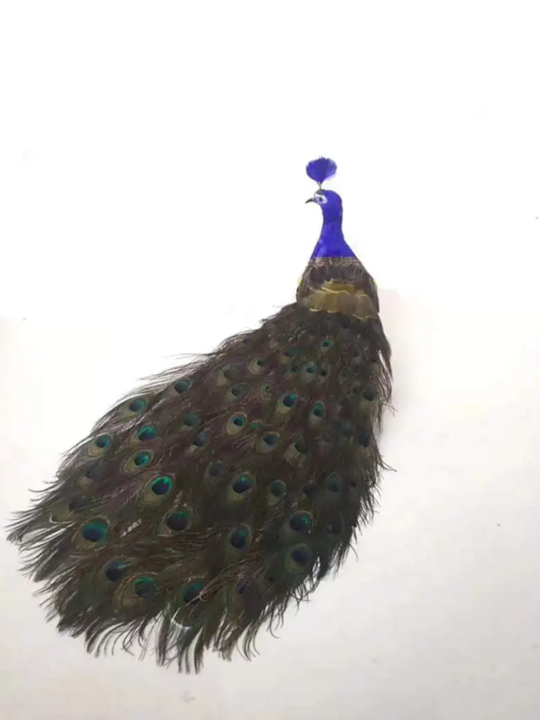 beautiful real life peacock model foam&feather simulation peacock bird gift about 80cm xf2903