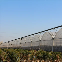 Intelligent multi-span plastic film greenhouse for planting vegetables, growing flowers and recreation