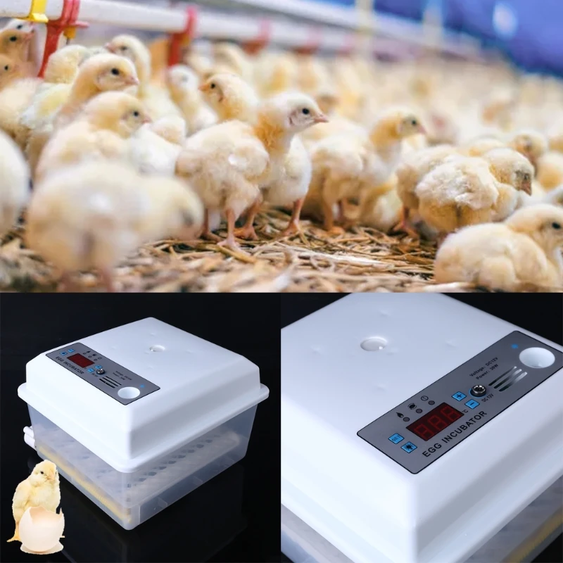 Imagem -06 - Incubadora Chocadeira Pássaro Codorna Chick Incubadora Aves Incubadora Turner Automático Ferramentas Incubação Agrícola ue Eua 220v